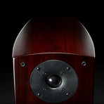 Nova125SE Amplifier + D5 Speaker System // Rosewood