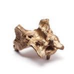 White Calf Belt (Small / 30" - 36")