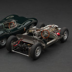 1955 Jaguar D-Type Short Nose + Rolling Chassis //  Set of 2