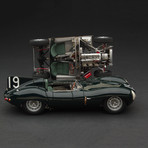 1955 Jaguar D-Type Short Nose + Rolling Chassis //  Set of 2