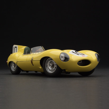 1955 D-Type Short Nose - Exoto Touch Modern
