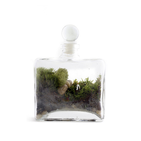 Tropisma DIY Terrarium Kit