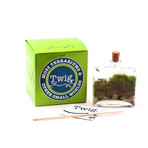 Tropisma DIY Terrarium Kit