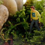 Tropisma DIY Terrarium Kit