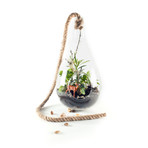 Flora and Fauna Complete Hanging Planter Kit