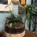 Deluxe Lucky Gardener Kit (Clever Fox)