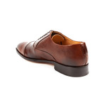 Pleated Oxford // Brown (US: 7)