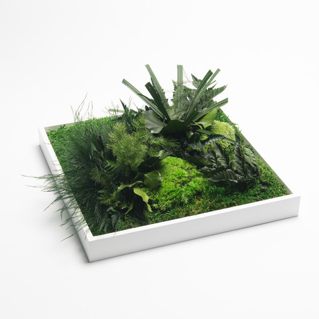 Nature Frame Square // Large