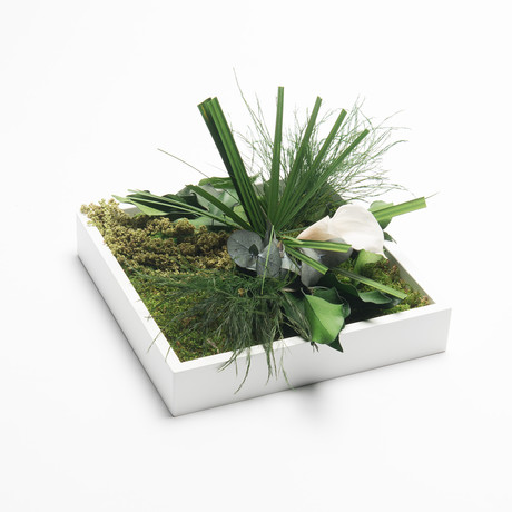 Nature Frame Square