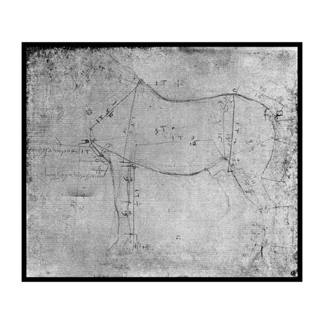 Study of a Horse (12.25"L x 14.4"W x 2"H)