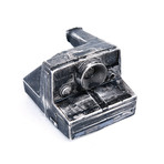 Polaroid Future Fossil