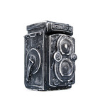 Rollei Future Fossil