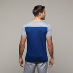 Color Block Tee // Grey + Royal (XS)