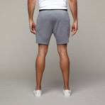North Shore Lounge Short // Varsity Grey (XS)