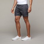 Holler Short // Dark Shadow Grey (28)
