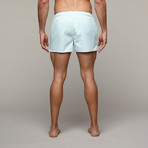 Angeleno Swim Trunk // Seer Sucker Green (28)