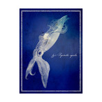 Marine Collection A (18"L x 12"H)