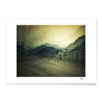 Nikko (Print // 20"L x 16"H)