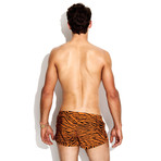 Cheetah + Tiger Trainer Swimsuit // Burnt Orange (XS)