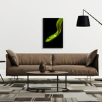 Green Mamba (Mounted Aluminum // 13"L x 20"H)