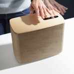 P.A.C.O. Bluetooth Speaker with Gestural Interface // Light Concrete and Fir Wood