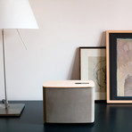 P.A.C.O. Bluetooth Speaker with Gestural Interface // Light Concrete and Fir Wood