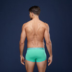 Boxer Briefs // Wasabi Mint (S)