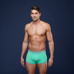 Boxer Briefs // Wasabi Mint (S)