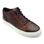 Lisbon // Snake (Euro: 41)