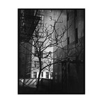 Brett Weston // Bare Tree Below Buildings, Manhattan, 1944 (16"W x 20"H x 2"D)