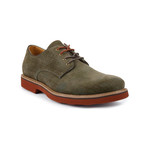 Beekman Oxford // Olive (US: 8)