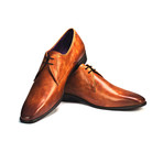 Alfred Derby // Cognac (US: 8)