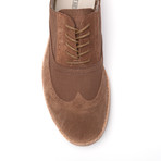 Vinci Oxford // Brown (Euro: 43)