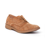 Volterra Suede Derby // Nut (Euro: 42)