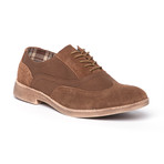 Vinci Oxford // Brown (Euro: 44)