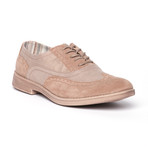 Vinci Oxford // Nut (Euro: 41)