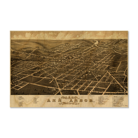 Ann Arbor // 1880 (Small // 18"L x 12"H)