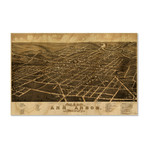 Ann Arbor // 1880 (Small // 18"L x 12"H)