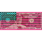 Stars Vs. Stripes // Pink (24"W x 10”H x 1.5"D)