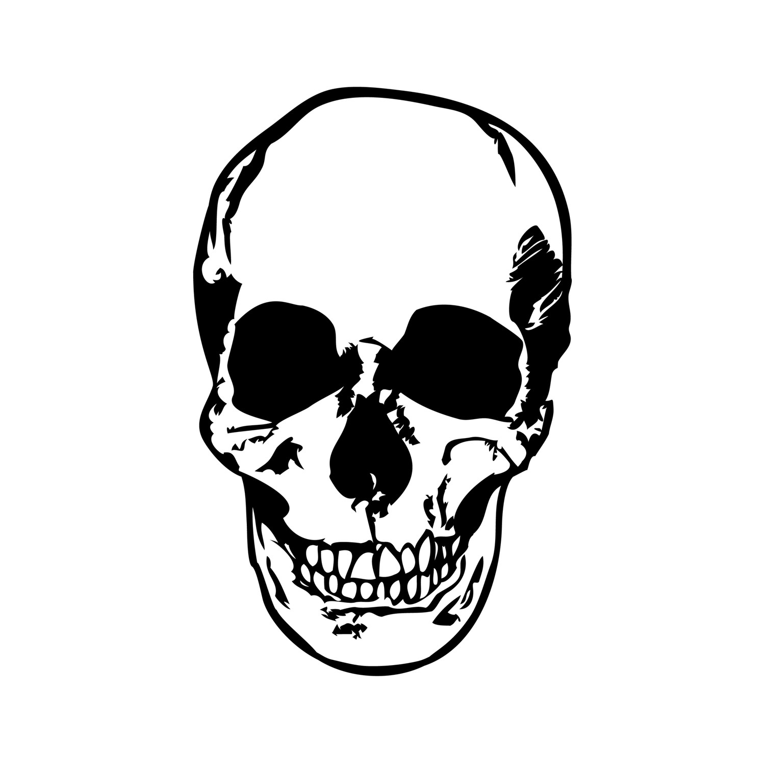 Human Skull - WALLTAT - Touch of Modern