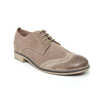 Rigg Suede + Leather Longwing Brogues (Euro: 40)