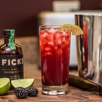 Ficks Cocktail Fortifier // Variety Pack