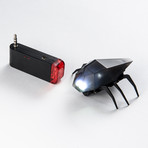 iPhone Controlled Beetle