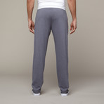Light French Terry Straight Pant // Nickel (S)