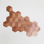 Walnut Hexagon (Set of 8)