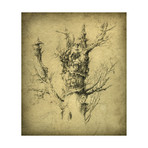 Branching Out (12" x 18")