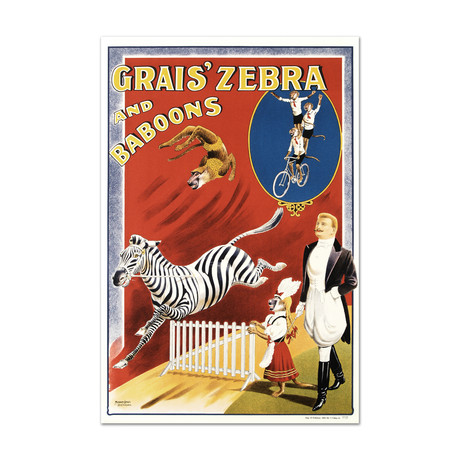 Grais Zebra + Baboons // Hand-Pulled Lithograph