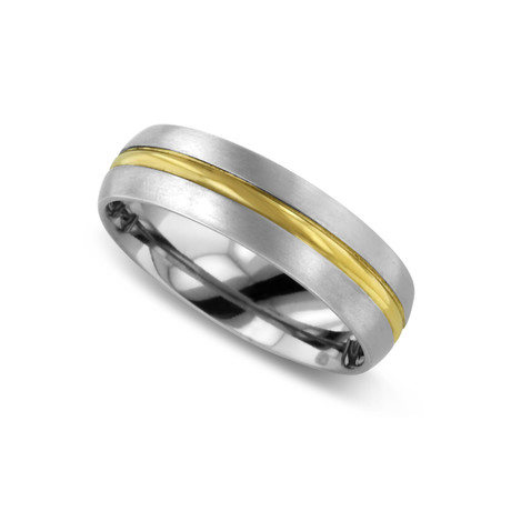 Two-Tone Titanium Ring (Size 9)
