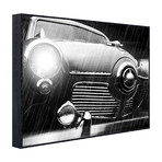 Studebaker Rain (19.75"L x 25"W)