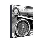 Galaxie 500 (25"L x 19.75"W)